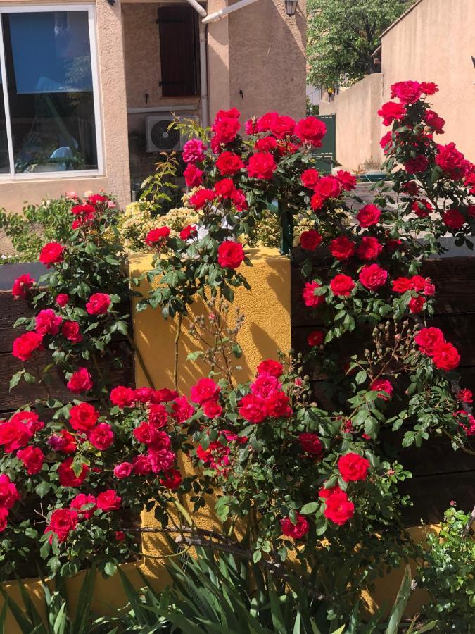 Chez Guy Bed & Breakfast Marsilia Exterior foto
